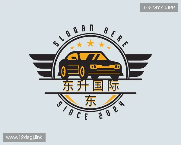 探究东升国际